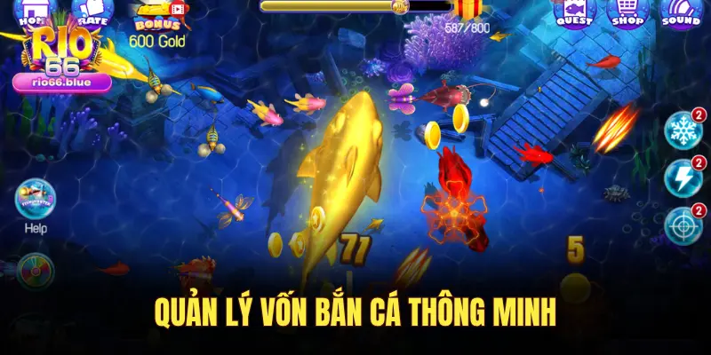 QUẢN LÝ VỐN BẮN CÁ THÔNG MINH