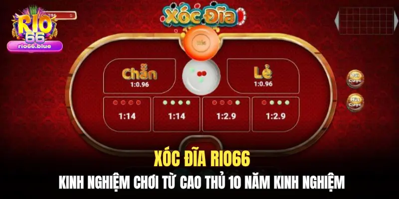 Xóc đĩa Rio66: Kinh nghiệm chơi từ cao thủ 10 năm kinh nghiệm 1 Xóc đĩa Rio66: Kinh nghiệm chơi từ cao thủ 10 năm kinh nghiệm